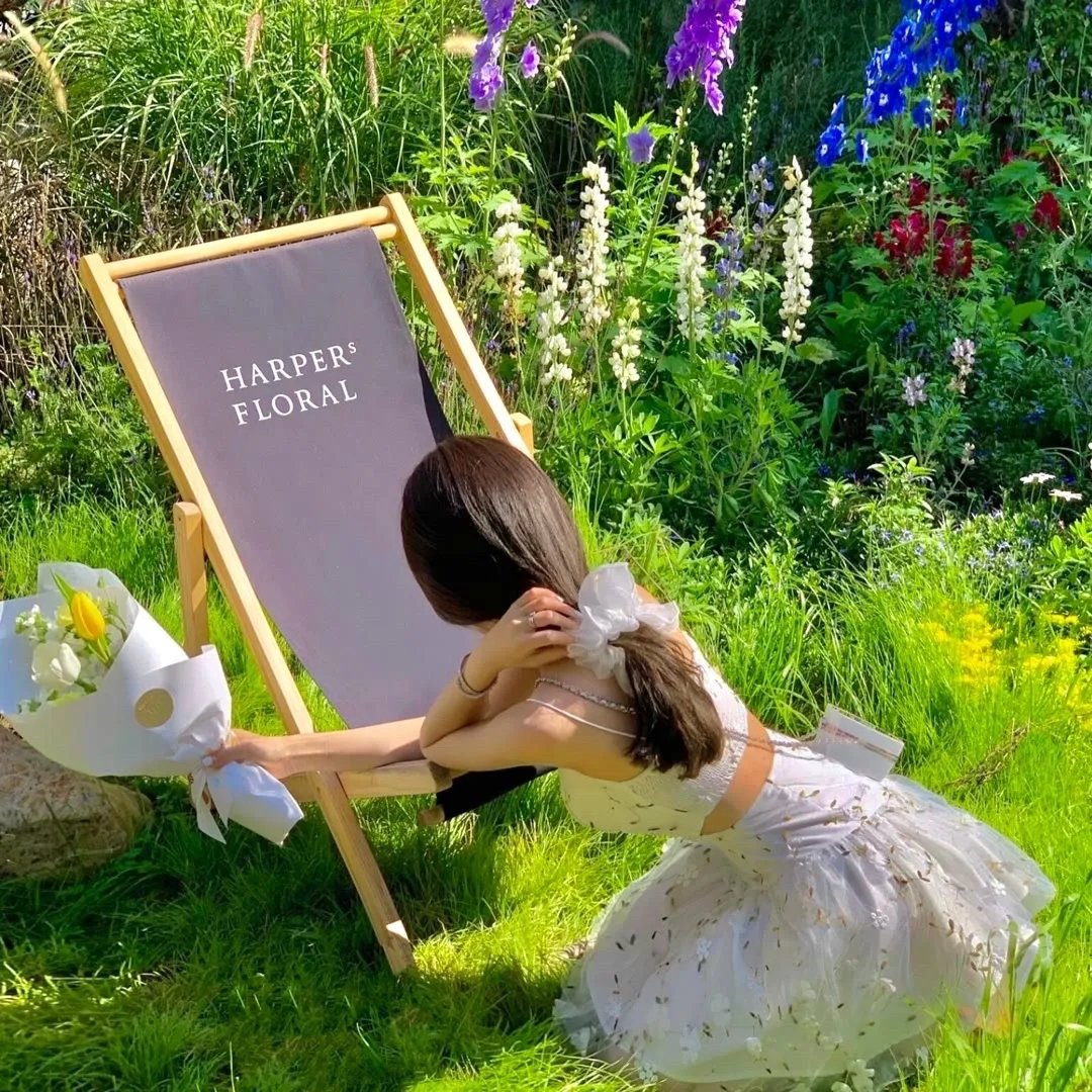 大唐来的苏无名