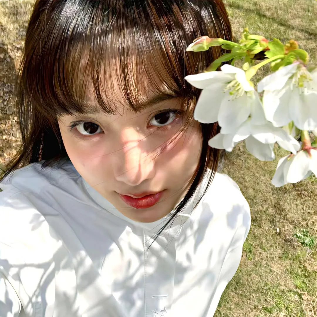 熊出没之探险日记